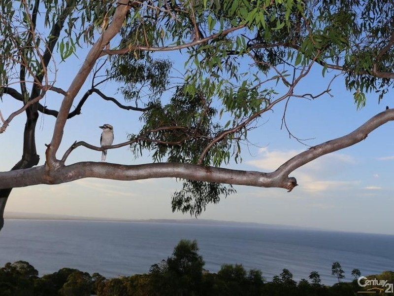 25 Bayview Road, Little Cove QLD 4567