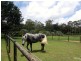 56 Duke Road, Doonan QLD 4562