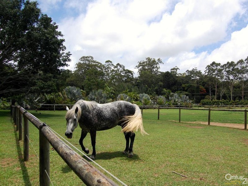 56 Duke Road, Doonan QLD 4562