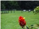 56 Duke Road, Doonan QLD 4562