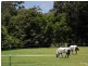 56 Duke Road, Doonan QLD 4562