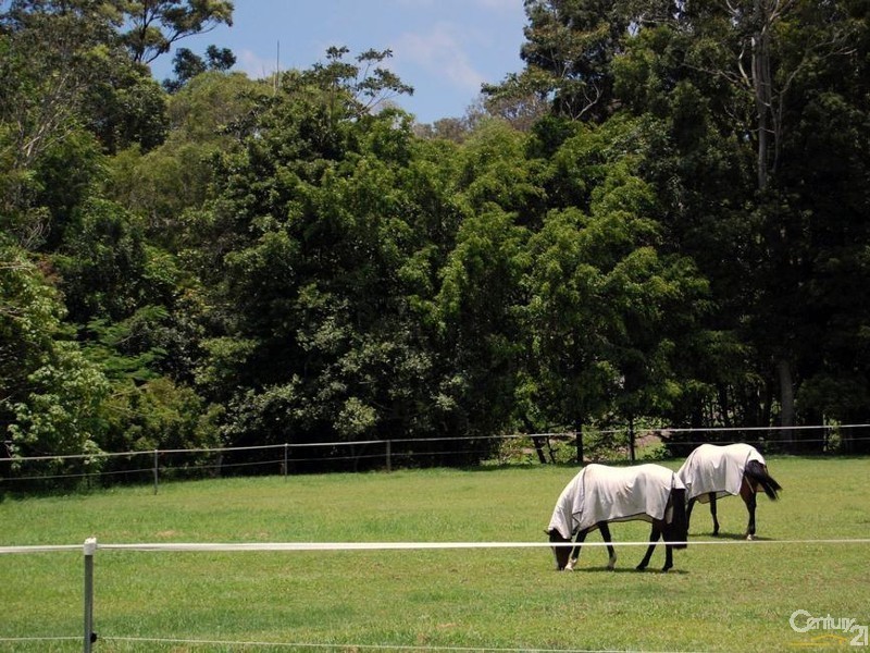 56 Duke Road, Doonan QLD 4562