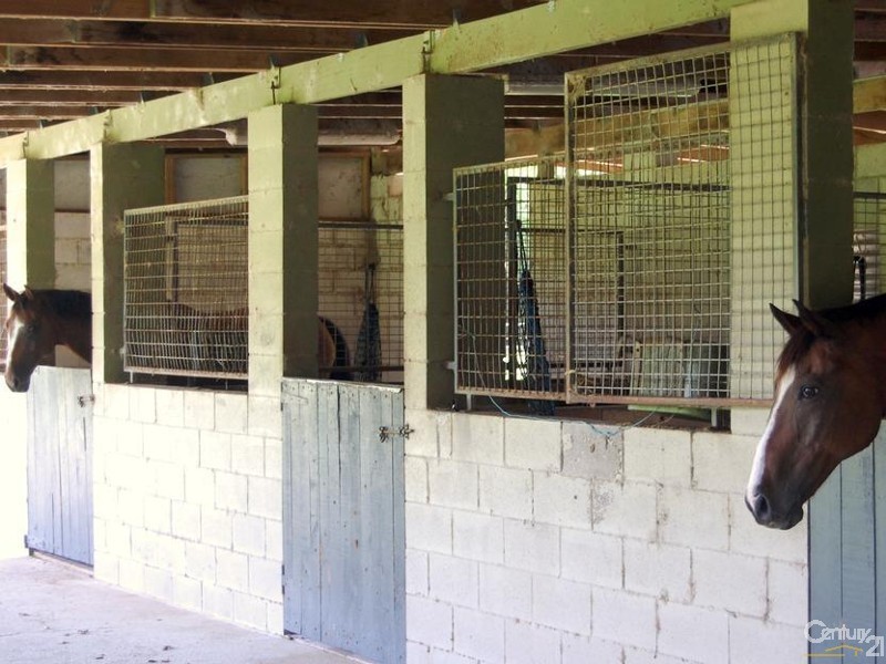 56 Duke Road, Doonan QLD 4562