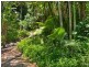 24 Seaview Terrace, Sunshine Beach QLD 4567