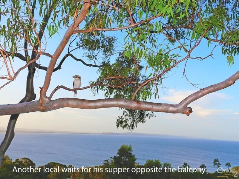 25 Bayview Road, Noosa Heads QLD 4567