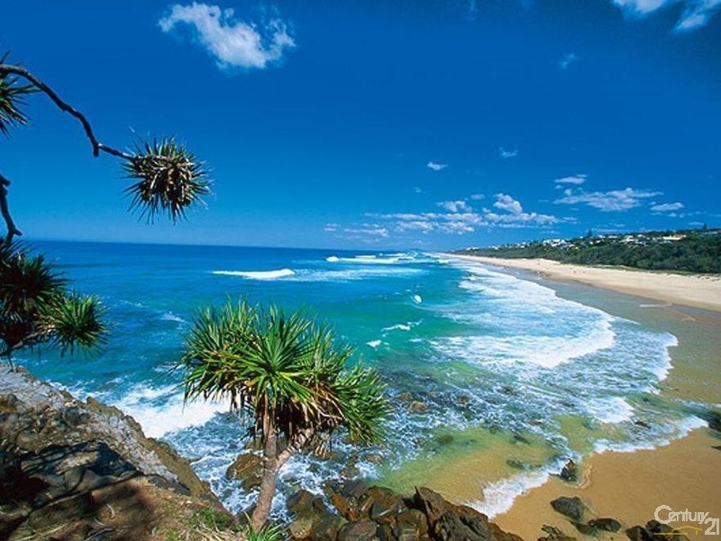 7 Oak Street, Sunshine Beach QLD 4567