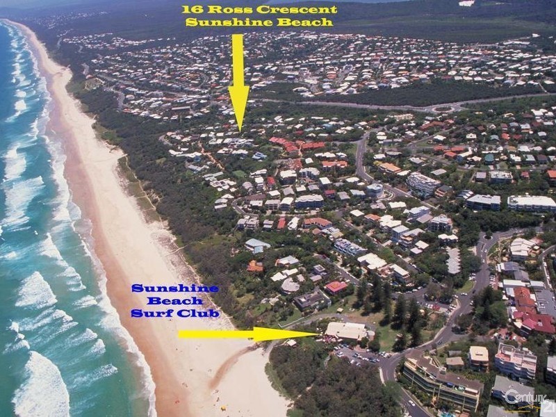 16 Ross Crescent, Sunshine Beach QLD 4567