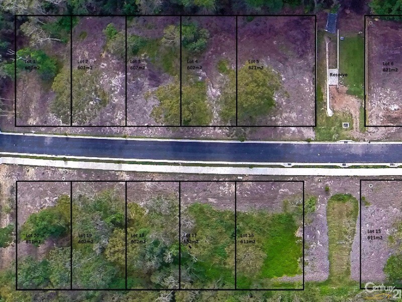 7 Livingstone Street, Tewantin QLD 4565