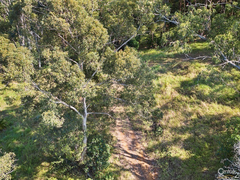 18 Panavista Court, Doonan QLD 4562