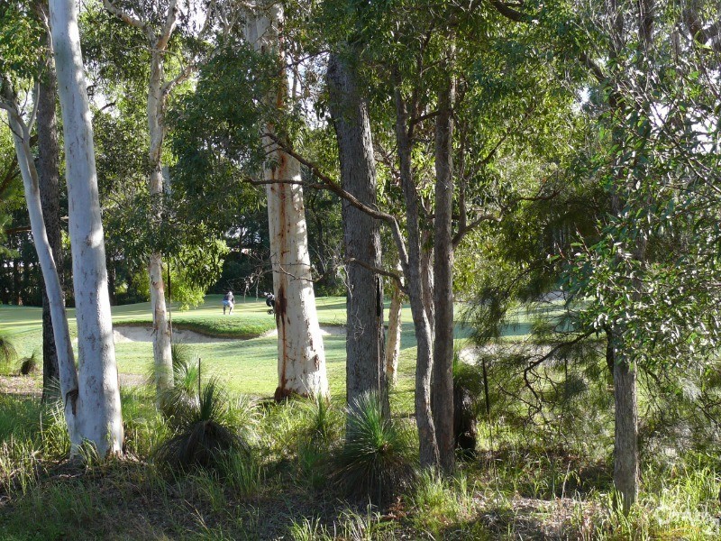 33 Peachtree Crescent, Peregian Springs QLD 4573