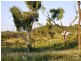 Lot 24 Africandar Road, Bowen QLD 4805