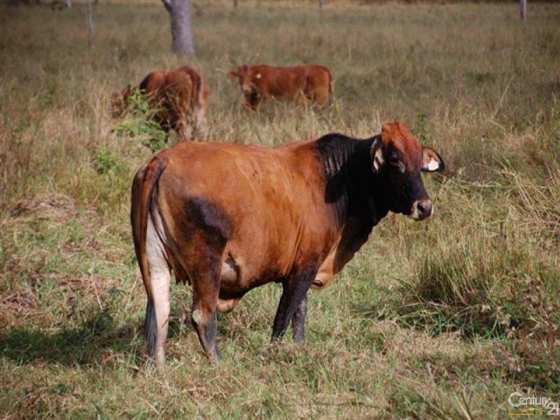 Lot 34 Brampton Drive, Bowen QLD 4805