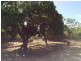 120 Mt Nutt Road, Bowen QLD 4805