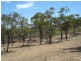 Lot 25 18323 Bruce Highway, Bowen QLD 4805
