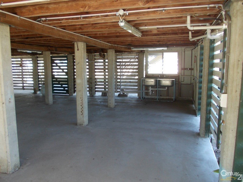 6 Davidson Street, Collinsville QLD 4804