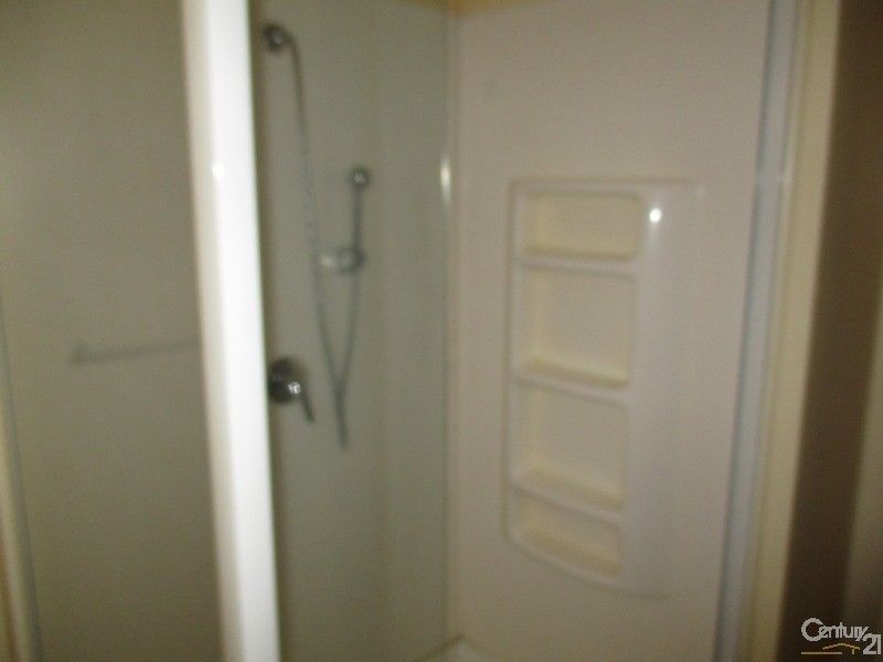 3 Sanderson Court, Collinsville QLD 4804