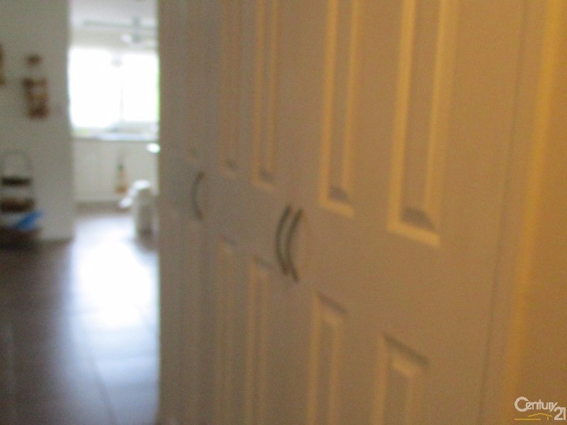 11 Miller Street, Collinsville QLD 4804