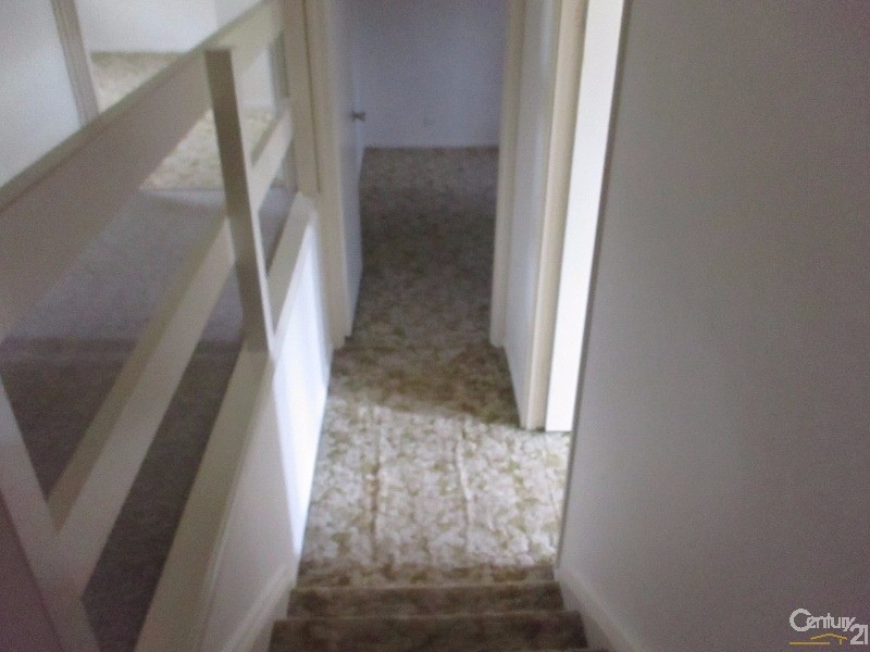 7 Ruff Court, Collinsville QLD 4804