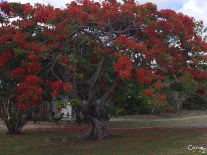 3 Thomas Street, Bowen QLD 4805