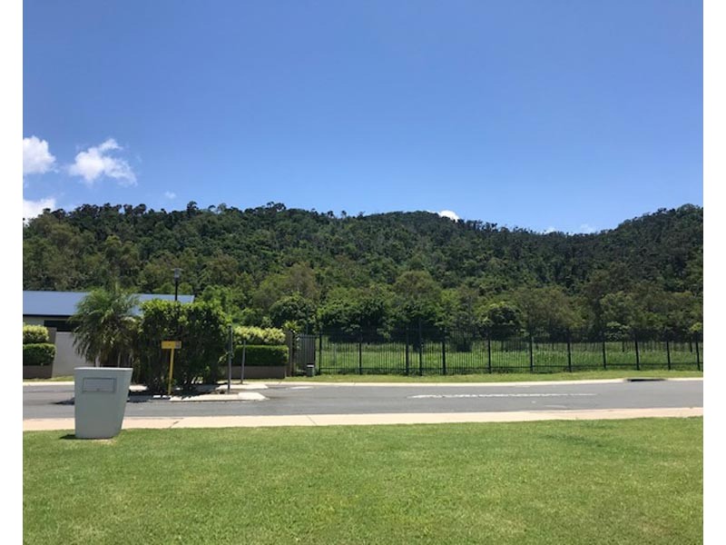 3 Lemau Court, Jubilee Pocket QLD 4802