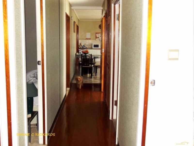 19 Bibimulya Street, Bellara QLD 4507