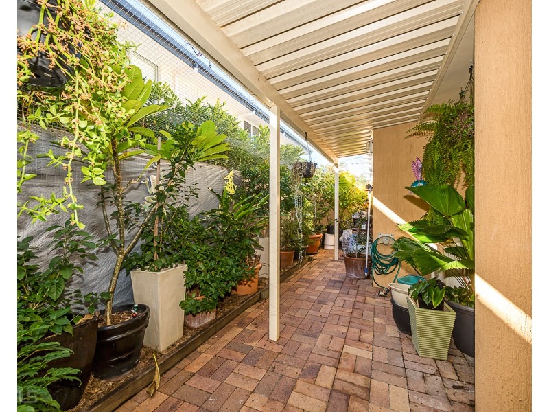 3/34 Kangaroo Avenue, Bongaree QLD 4507