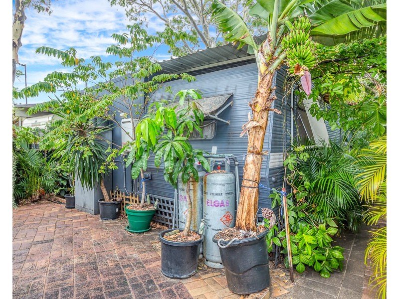 Site 98 40 Jacana Ave Woorim, Woorim QLD 4507