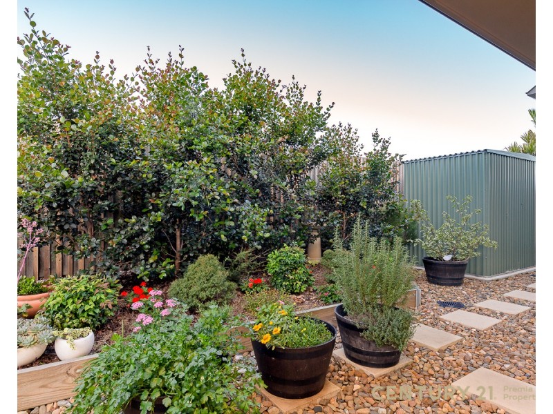 14 Treefrog street, Ningi QLD 4511