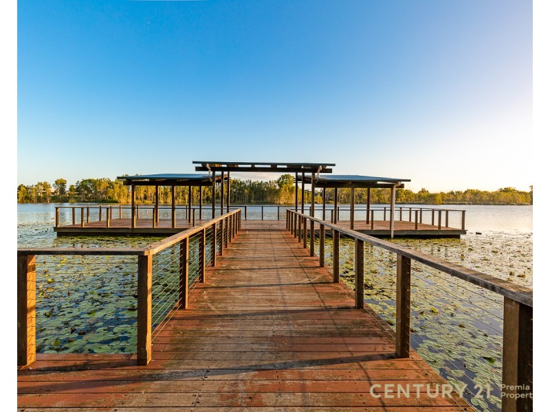 14 Treefrog street, Ningi QLD 4511