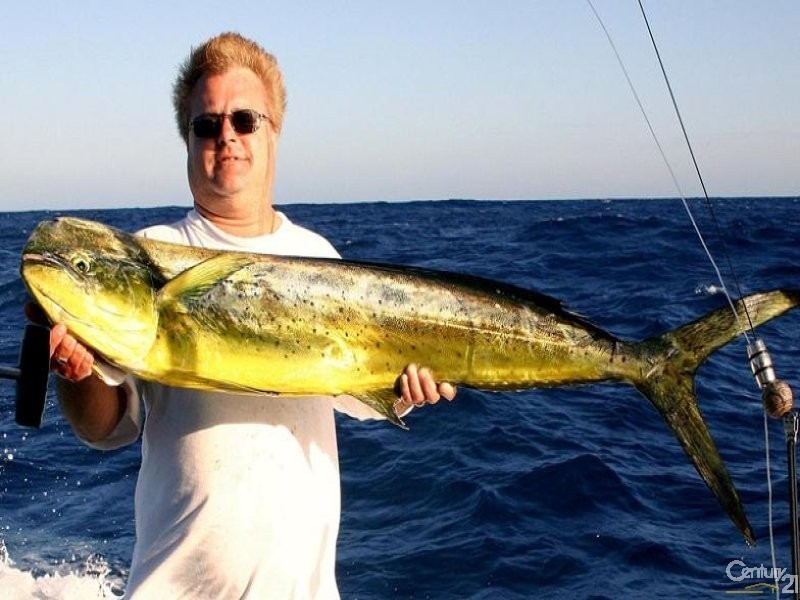 Site 132 Silver Shores Caravan Park, Bribie Island Road, Sandstone Point QLD 4511