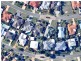 17 Seaforth Street, Sandstone Point QLD 4511