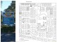 Site 206 40 Jacana Ave Woorim, Woorim QLD 4507