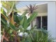 71 Sandstone Blvd, Ningi QLD 4511