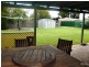 5 Quail Street, Bellara QLD 4507