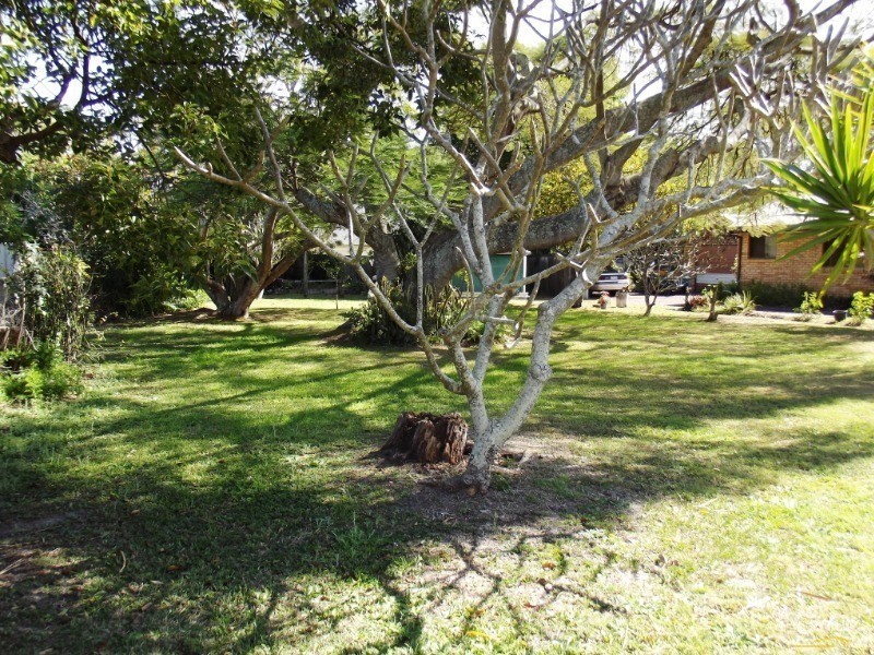 16 Pumicestone Street, Bellara QLD 4507