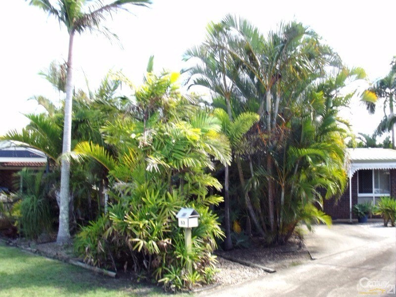 53 Bibimulya Street, Bellara QLD 4507