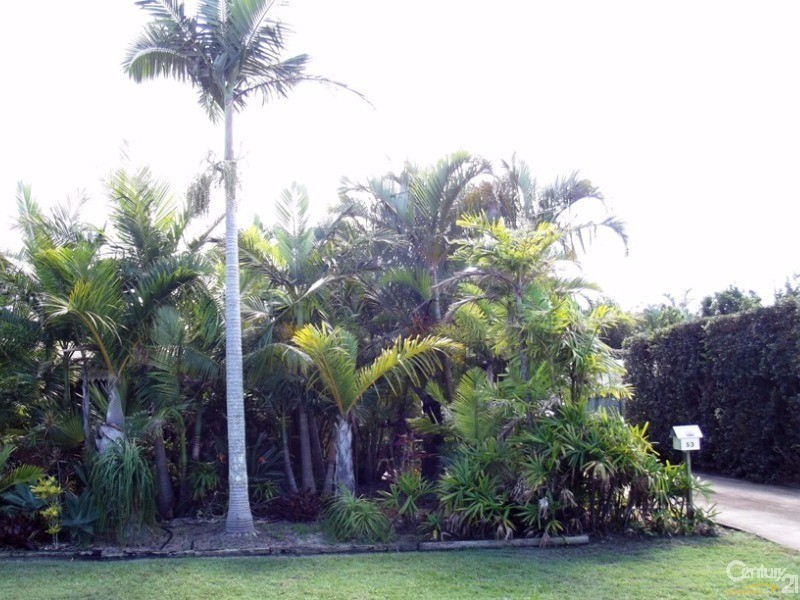 53 Bibimulya Street, Bellara QLD 4507