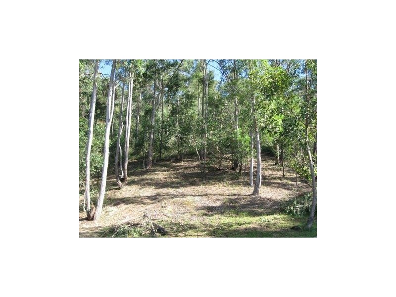 Ferny Grove QLD 4055