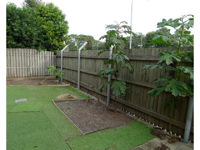 36/121 Archdale Road, Ferny Grove QLD 4055