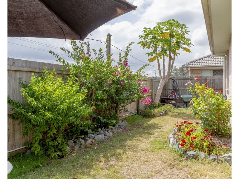 46  Lyrebird Crescent, Upper Kedron QLD 4055