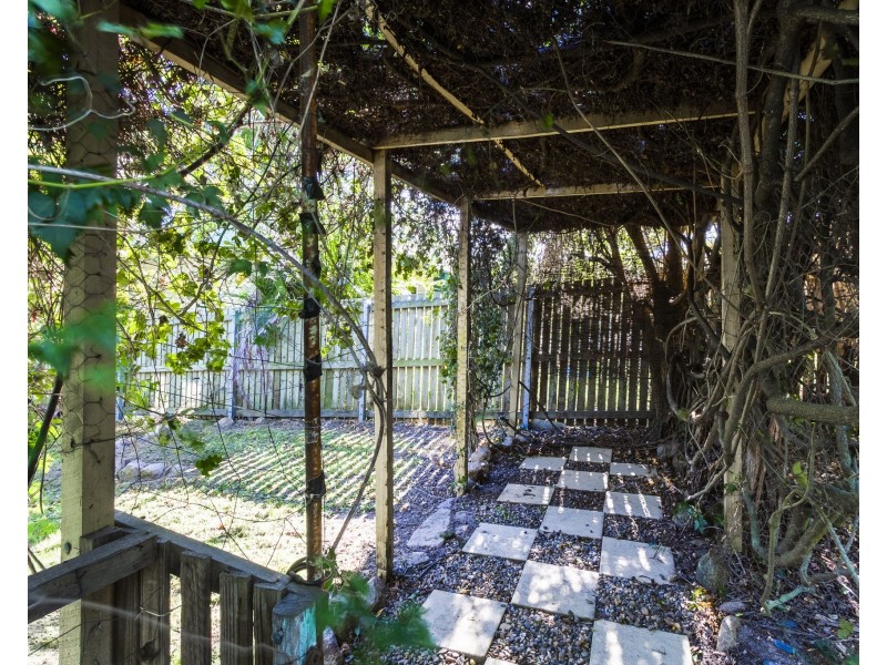 16 Dash Street, Keperra QLD 4054