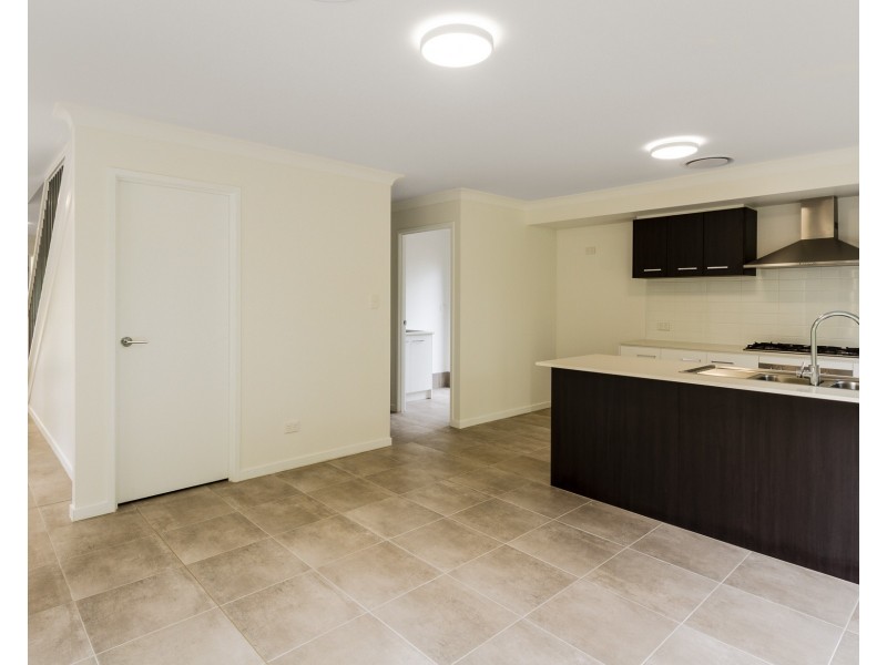 11 Pavonia Street, Everton Hills QLD 4053