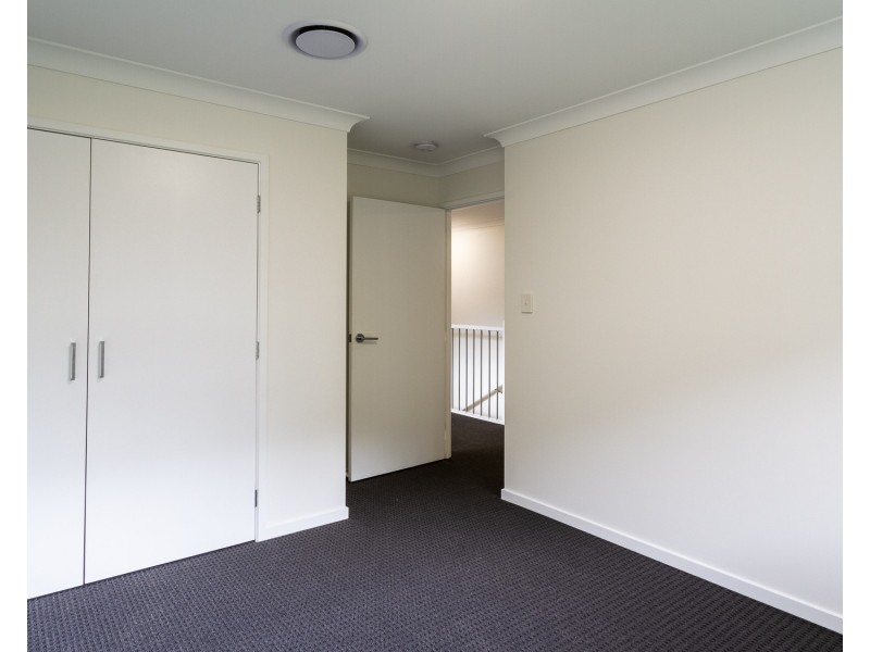 11 Pavonia Street, Everton Hills QLD 4053