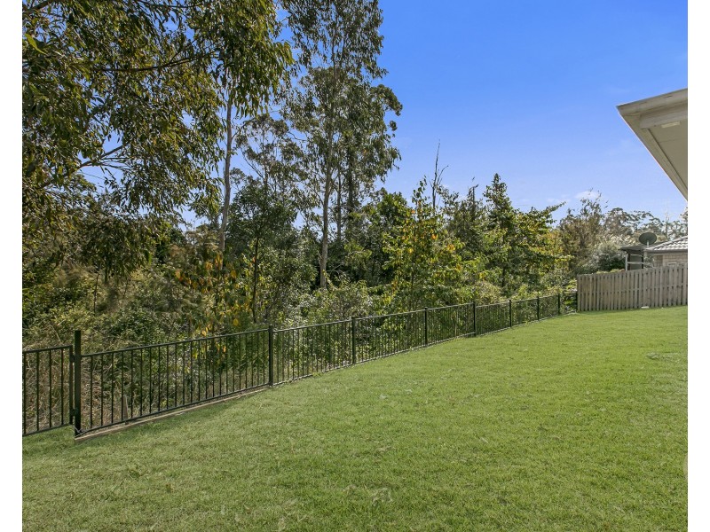 46 Curlew Street, Upper Kedron QLD 4055