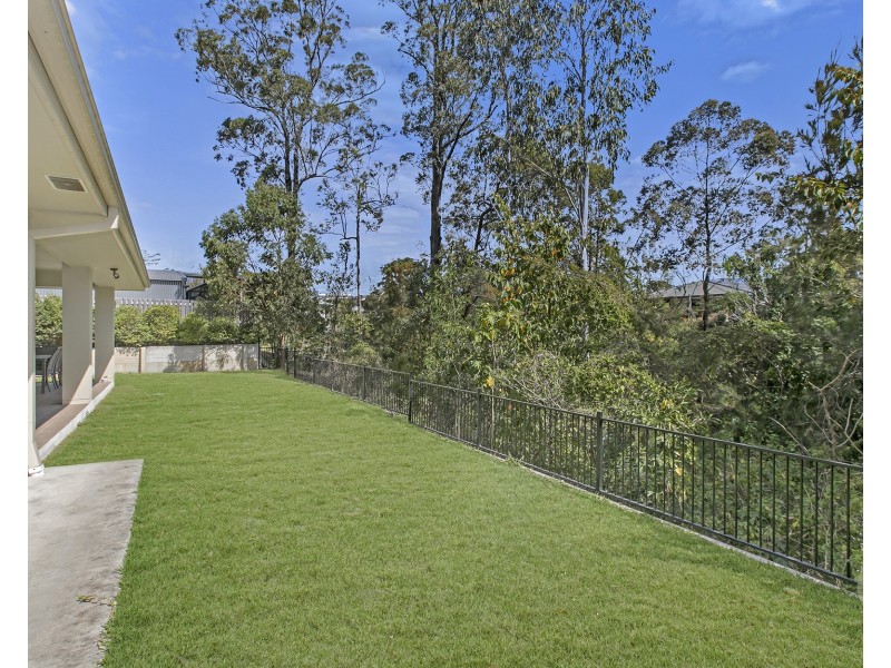 46 Curlew Street, Upper Kedron QLD 4055