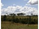 Lot 1 Bowman Road, Taromeo QLD 4306