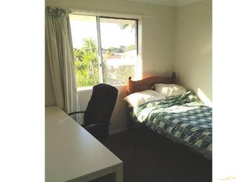 3 Petunia Street, Nudgee QLD 4014