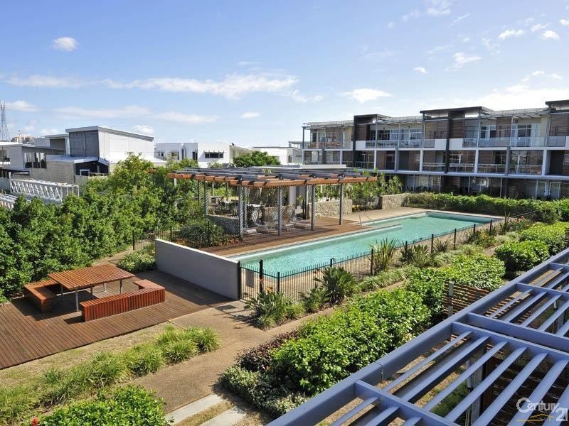 43 Love Street, Bulimba QLD 4171