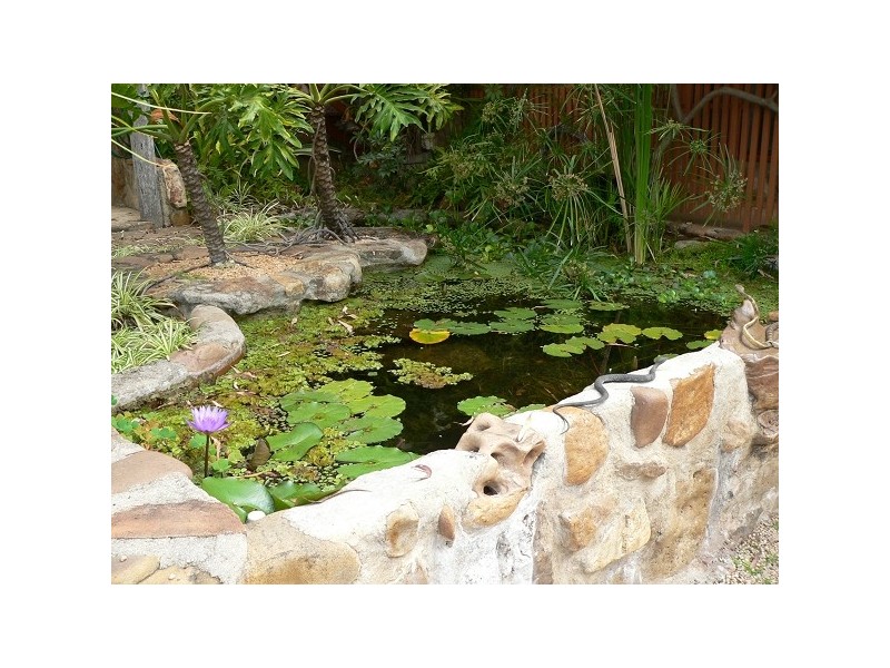Sapphire QLD 4702