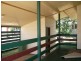 Capella QLD 4723
